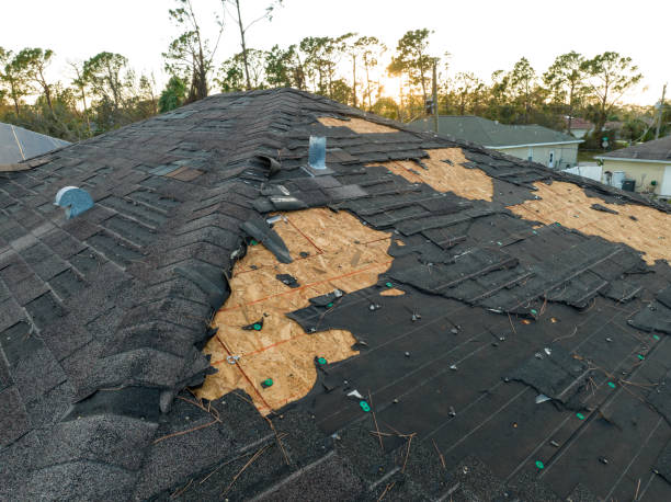 Best Roof Coating Services  in Benton Park, CA